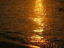 IMG_5303.JPG