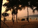 IMG_5326.JPG