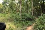 IMG_1580.JPG