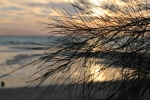 IMG_1812.JPG