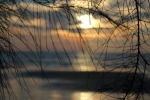IMG_1824.JPG