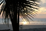 IMG_1833.JPG