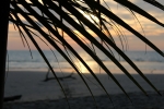 IMG_1834.JPG