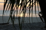 IMG_1839.JPG