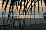 IMG_1842.JPG