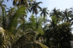 IMG_1879.JPG