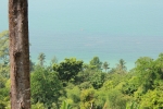 IMG_1385.JPG