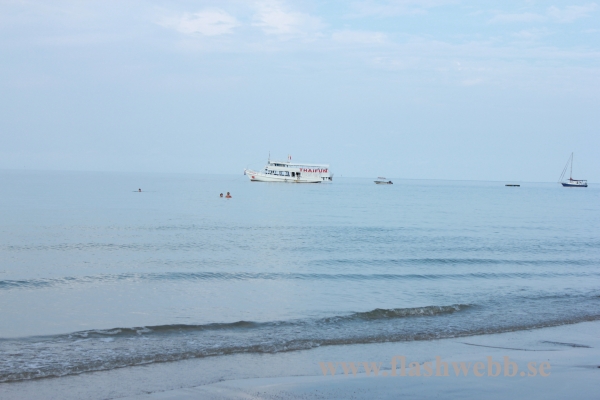 IMG_1512.JPG