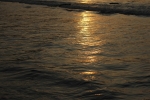 IMG_2139.JPG