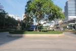 IMG_4881.JPG