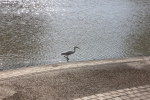 IMG_4892.JPG