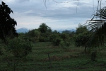 IMG_3706.JPG