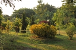 IMG_3736.JPG