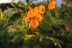 IMG_3741.JPG