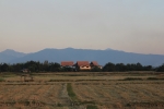 IMG_3950.JPG