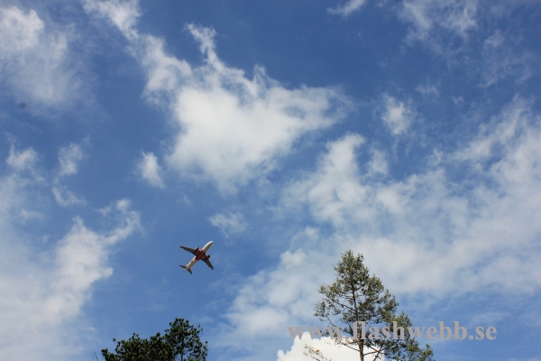 IMG_4774.JPG
