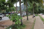 IMG_4186.JPG