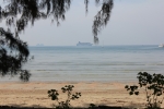 IMG_4355.JPG