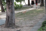 IMG_4360.JPG