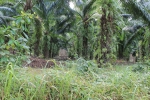 IMG_4480.JPG