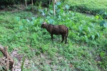 IMG_4545.JPG