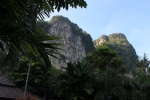 IMG_4585.JPG
