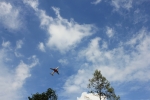 IMG_4774.JPG