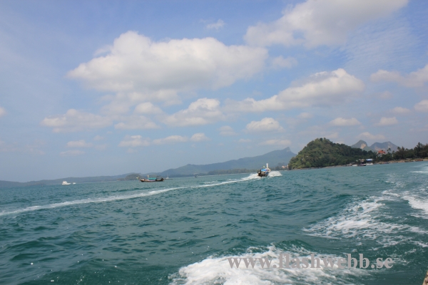 IMG_4590.JPG