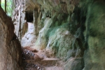 IMG_4626.JPG