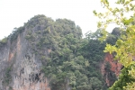 IMG_4685.JPG