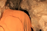 IMG_4650.JPG