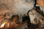 IMG_4656.JPG