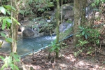 IMG_4375.JPG