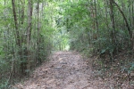 IMG_4378.JPG