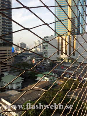 20111206_072629.jpg