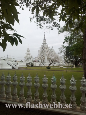 20111211_094837.jpg