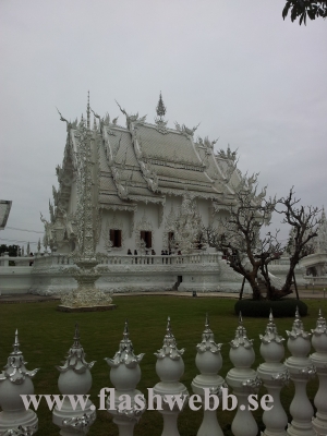20111211_095627.jpg