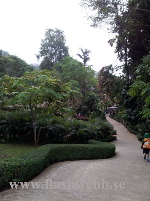 20111211_124054.jpg