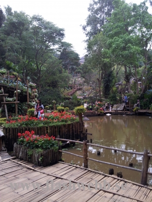 20111211_124158.jpg