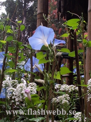 20111211_124531.jpg