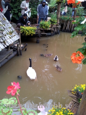 20111211_124758.jpg