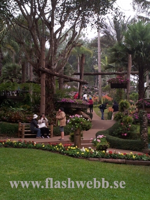 20111211_125148.jpg