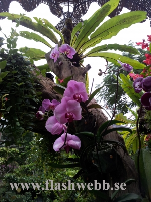 20111211_125330.jpg