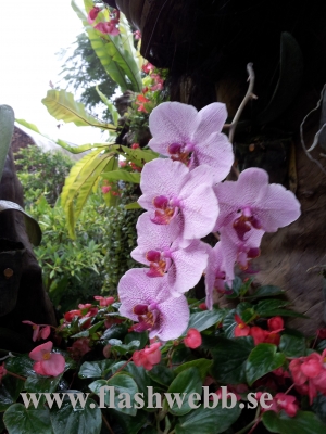 20111211_125336.jpg