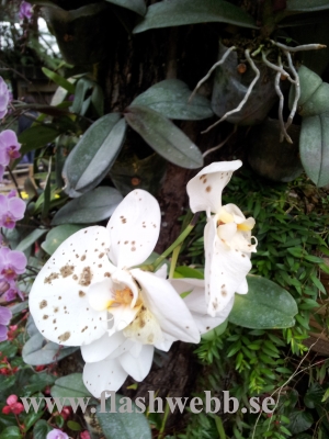 20111211_125348.jpg