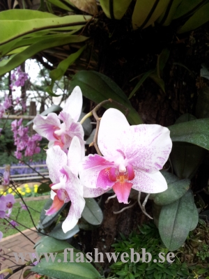 20111211_125355.jpg