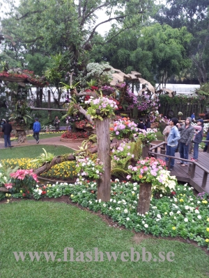 20111211_125428.jpg
