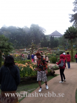 20111211_130009.jpg