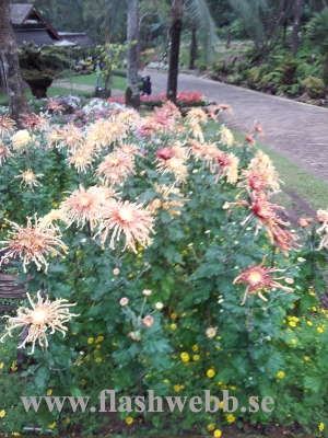 20111211_130101.jpg