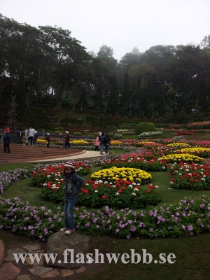 20111211_130249.jpg